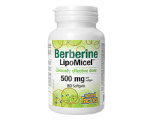Load image into Gallery viewer, Natural Factors, Berberine LipoMicel Matrix, 500 mg
