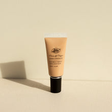 Load image into Gallery viewer, Pure Anada: Prime & Perfect Liquid Concealer