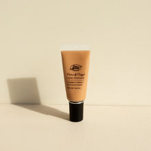 Load image into Gallery viewer, Pure Anada: Prime & Perfect Liquid Concealer
