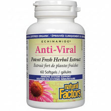 Load image into Gallery viewer, Natural Factors: ECHINAMIDE® Anti-Viral Softgels