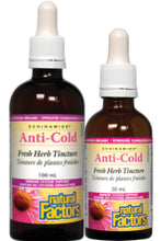 Load image into Gallery viewer, Natural Factors: ECHINAMIDE® Echinacea Fresh Herb Tincture