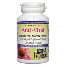 Load image into Gallery viewer, Natural Factors: ECHINAMIDE® Anti-Viral Softgels