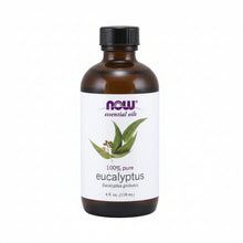 Load image into Gallery viewer, NOW: Eucalyptus Oil Essential Oil