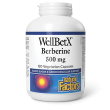 Load image into Gallery viewer, Natural Factors: WellBetX® Berberine 500 mg
