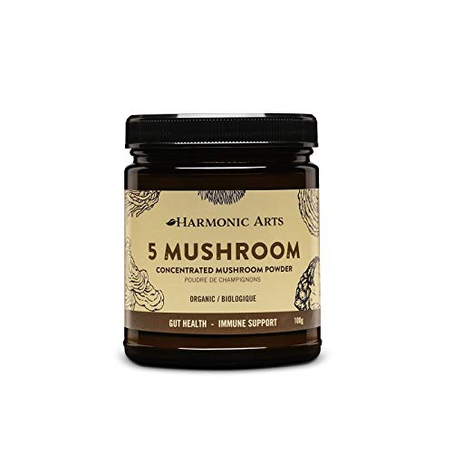 Harmonic Arts: 5 Mushroom