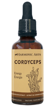 Load image into Gallery viewer, Harmonic Arts: Cordyceps Mushroom
