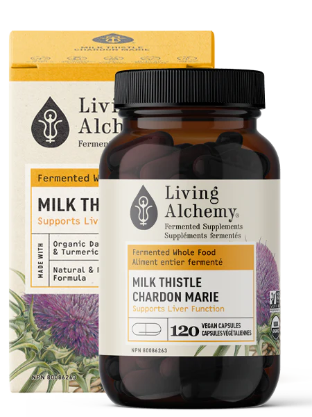 Living Alchemy: Milk Thistle