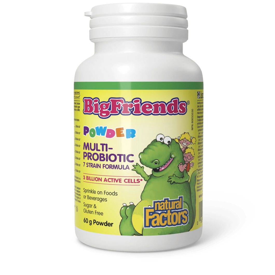 Natural Factors: Big Friends Multiprobiotic Powder