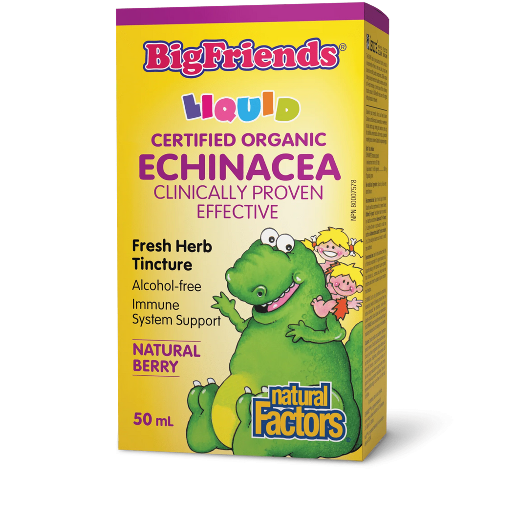 Natural Factors: Big Friends Echinacea Alcohol-Free Fresh Herb Tincture for Kids