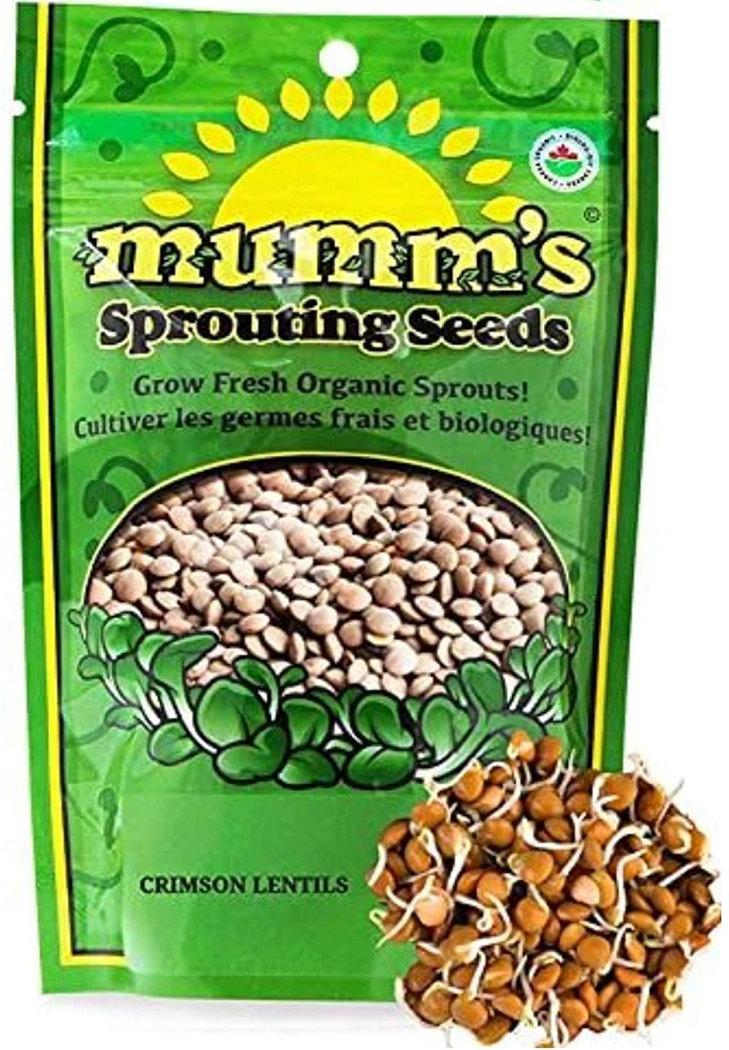 Mumm's: Crimson Lentils Sprouting Seeds