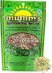 Mumm's: Spring Salad Mix Sprouting Seeds