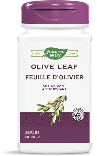 Nature's Way: Olive Leaf