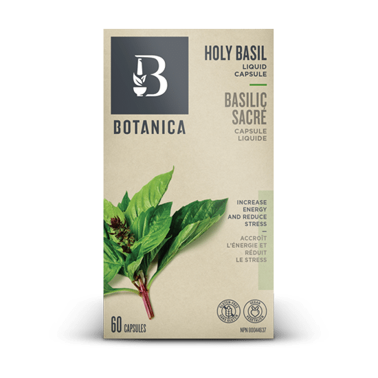 Botanica: Holy Basil