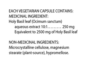 Flora: Holy Basil