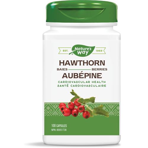 Nature's Way: Hawthorn Berries