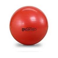 TheraBand: Pro Series SCP Exercise Balls